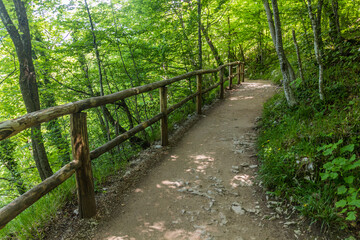 Hiking path in Plitvice Lakes National Park, Croatia