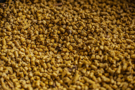 żwirek cat litter dla kot&oacute;w