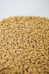 żwirek cat litter dla kotów