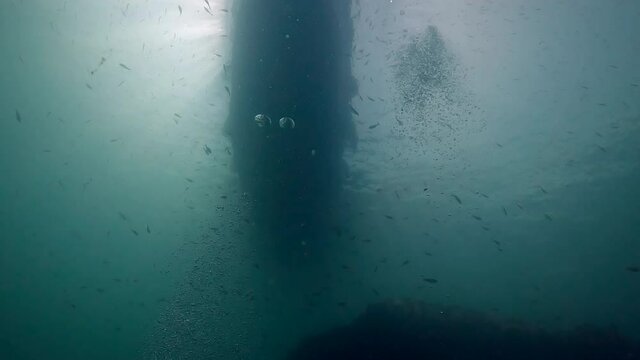 Under water film of tropical waters in Thailand - rising bubbles and shilouette of diving boat and sun light - Looking up