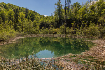 Fototapeta na wymiar Lake in Plitvice Lakes National Park, Croatia