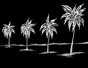 landscape with white palm trees on a black background