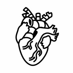 Detailed Human Heart Anatomy Outline Icon Vector Illustration