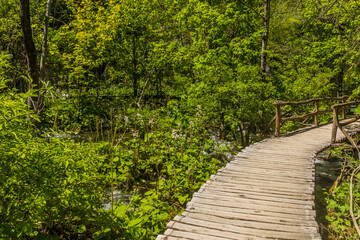 Boardwalk in Plitvice Lakes National Park, Croatia