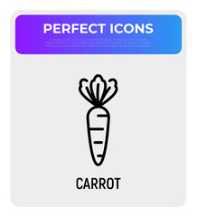 Carrot thin line icon. Healthy organic food. Vector illustration.