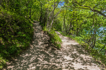 Fototapeta na wymiar Paths in Plitvice Lakes National Park, Croatia