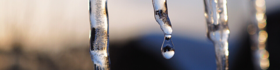 Banner with icicles in the rays of the winter sunset. A drop of melted snow close-up. Thaw headline