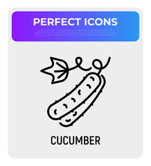 Cucumber thin line icon. Healthy vegan food. Ingredient for salad. Vector illustration.