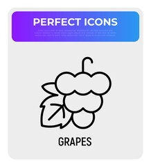Grape thin line icon. Healthy organic food. Winemaking logo. Vector illustration.