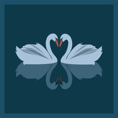 Swan gentle couple loyalty love