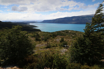 Fototapeta na wymiar Patagonian landscape with Lake Toro in the background, Chile
