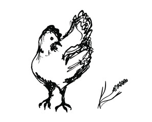 Vector rough ink sketch of the chicken