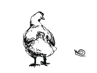 Vector rough ink sketch of the chicken