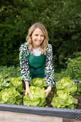 beautiful young blond woman with green apron is harvesting green fresh salad in the garden