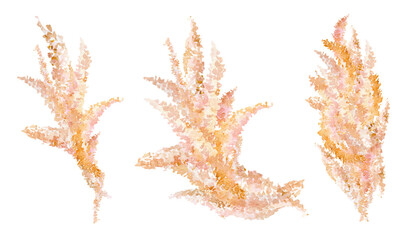 Pampas grass floral bouquet watercolor illustration for wedding card. Hand drawn boho wildflowers. Spring elegant garden florals in peach color