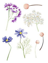 Violet floral watercolor set illustration for wedding card. Hand drawn boho wildflowers elements. Spring summer elegant garden flowers in color trendy very peri. - 479758035