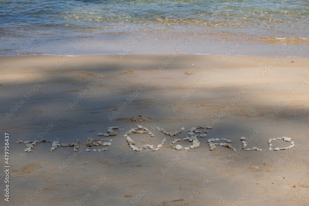 Fototapete the shell is arranged as a message of protecting the world on the sandy beach.