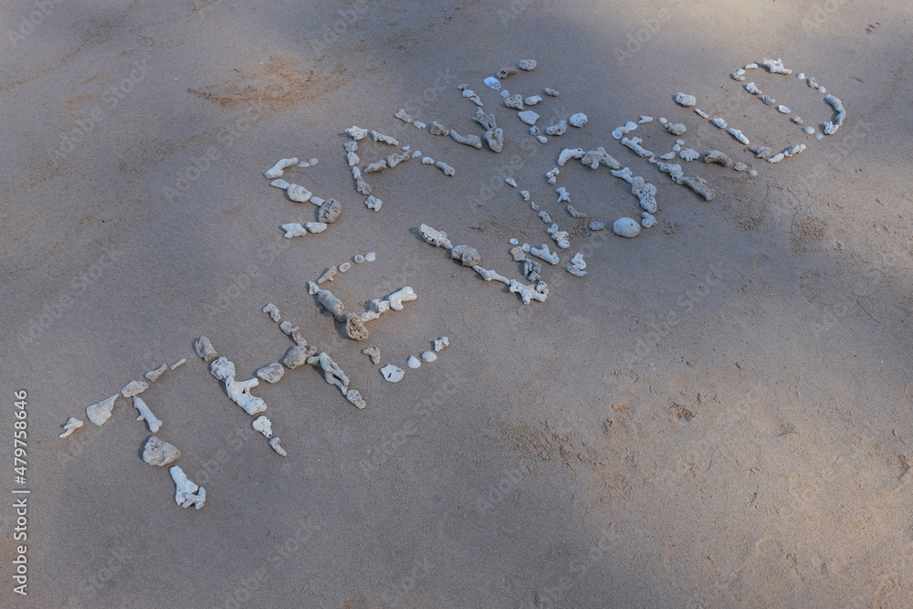 Fototapete the shell is arranged as a message of protecting the world on the sandy beach.