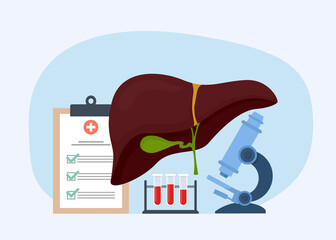 Liver organ treatment and diagnostic. Medical treatment and recovery. Vector illustration.
