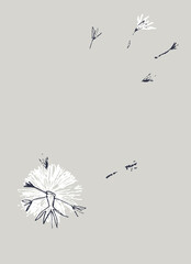 Pre made template with Dandelion flower. Summer concept. Decorative greeting card, invitation, poster, design background, birthday party.