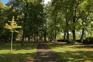 Landscape. Early autumn in the city park.