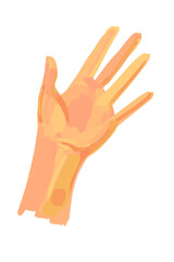 human hand drawn with paint on a white background 
