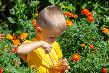 the child eats honey. Selective focus