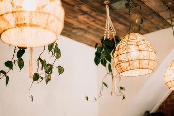 Wicker handmade chandelier lamps on the wooden ceiling, hanging flower pots with green plants on...