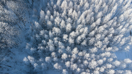 Aerial drone view for winter forest.