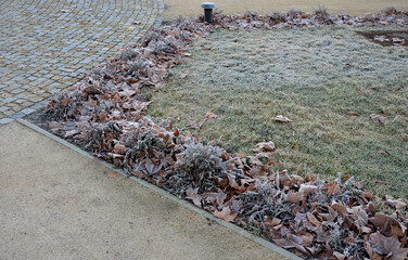 small lawns are illuminated by January sun very low above horizon. wavy terrain models are seen and...