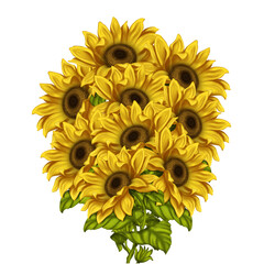 A bouquet of sunflowers on a white isolated background. digital illustration.