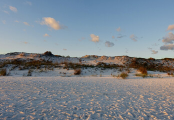 Florida Sand Dunes