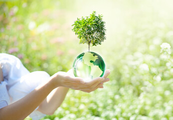 Earth Day or World Environment Day, environmentally friendly concept. Save our Planet, restore and protect Green Nature, sustainable lifestyle and Climate literacy theme. Tree grows on globe in hands. - obrazy, fototapety, plakaty