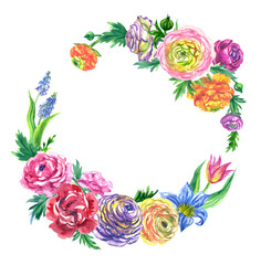 Fototapeta na wymiar Round frame of spring flowers: ranunculus, muscari and tulips, watercolor illustration on white background, isolated, composition for greeting card, invitation, banner, etc.