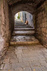 Narrow alley in Korcula town, Croatia