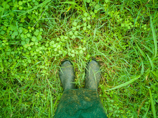 gardener's black rubber boots stand on the dew lawn in the morning.soft focus.