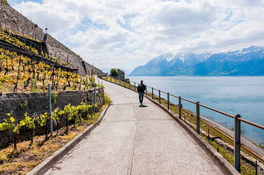 Waadt Bilder Durchsuchen 1,188 Archivfotos, und Videos