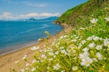 Summer, sea, seashore, sun, sunny day, mountains by the sea, hills by the sea