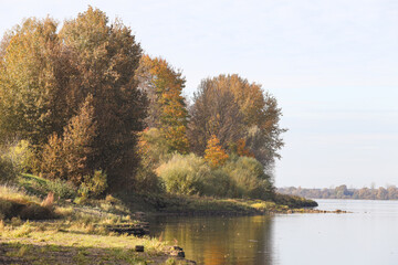 Beautiful natural landscape of trees near river.