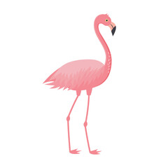 Fototapeta premium Pink flamingo isolated on white background. Exotic tropical bird character. Vector illustration.
