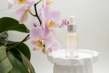 Cosmetic jar of facial essence stands on the podium with falenopsis. Cosmetics on a white background