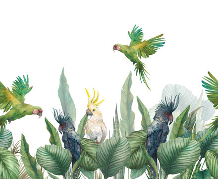 Watercolor black, white and green parrots repeating border. Hand drawn tropical card design with exotic leaves and branches on white background.  Birds and banana leaves