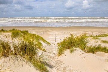 Landscape view of sand dune on the North sea coast