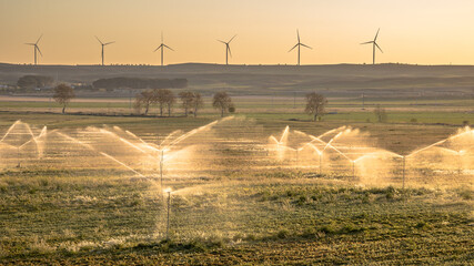 Irrigation sprinklers watering farmland