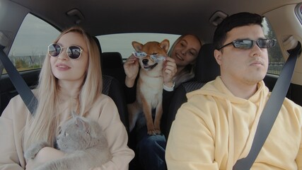 A guy and two girls are driving in a car with a cat and a dog wearing sunglasses. People and animals ride in a car