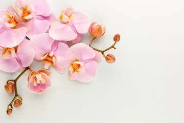 Fotobehang Pink spa orchid theme objects on pastel background. © gitusik