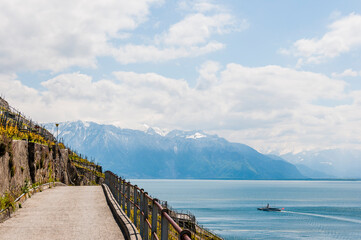 Obraz premium Lavaux, Genfersee, Cully, Epesses, Weinberge, Dorf, See, Seeufer, Schifffahrt, Wanderweg, Weinberg-Terrassen, Weinbauer, Frühling, Waadt, Schweiz