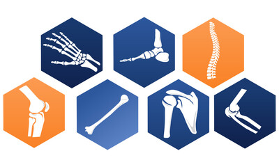 Bone set for Orthopedics traumatology with the anatomy of the bone.