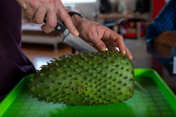 Obst. Ecuador. Natur.