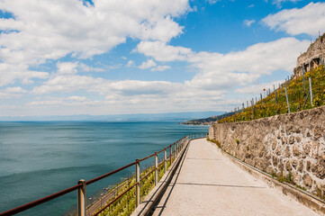 Fototapeta premium Cully, Lavaux, Weinberge, Genfersee, Epesses, Dorf, See, Seeufer, Wanderweg, Weinberg-Terrassen, Weinbauer, Frühling, Waadt, Schweiz